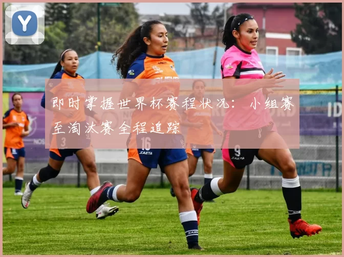 即时掌握世界杯赛程状况：小组赛至淘汰赛全程追踪