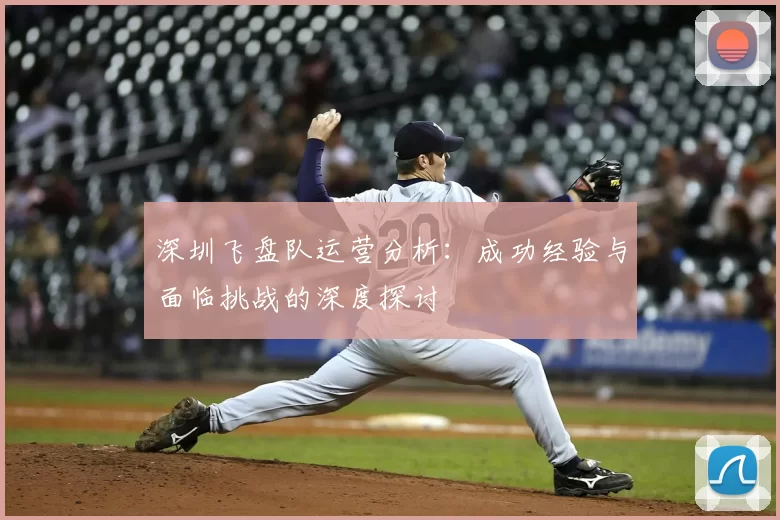 深圳飞盘队运营分析：成功经验与面临挑战的深度探讨
