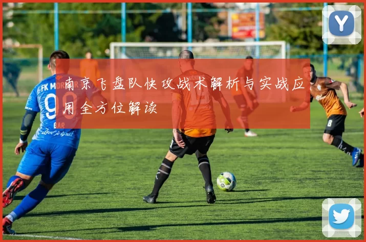 南京飞盘队快攻战术解析与实战应用全方位解读