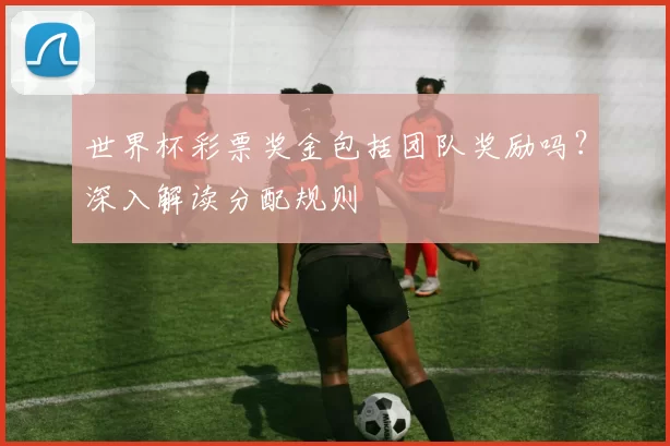 世界杯彩票奖金包括团队奖励吗?深入解读分配规则