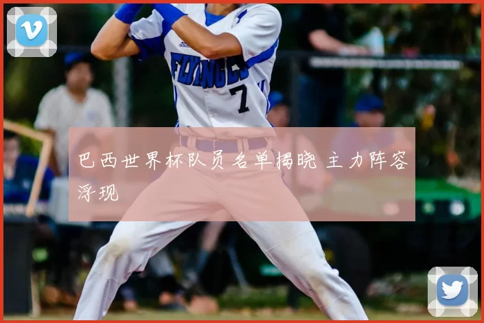 巴西世界杯队员名单揭晓 主力阵容浮现