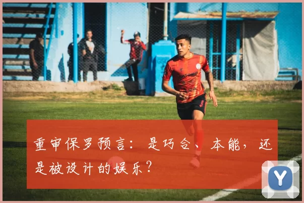 重审保罗预言：是巧合、本能，还是被设计的娱乐？