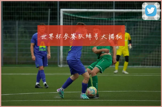 世界杯参赛队绰号大揭秘