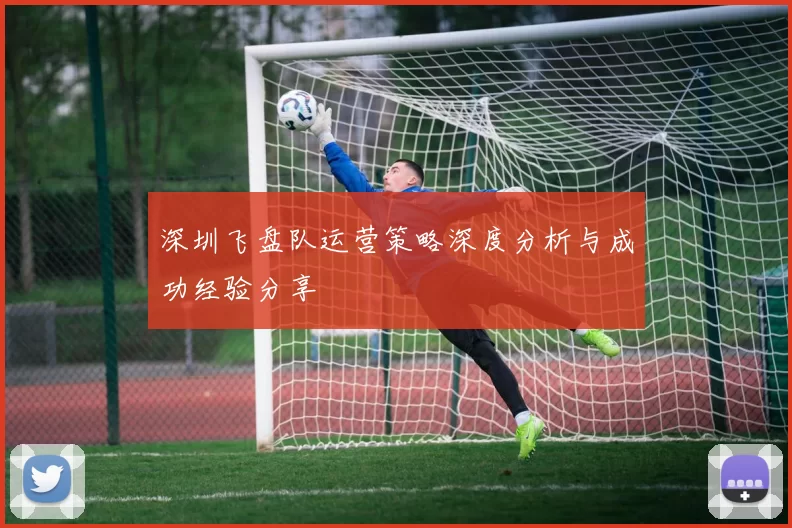 深圳飞盘队运营策略深度分析与成功经验分享