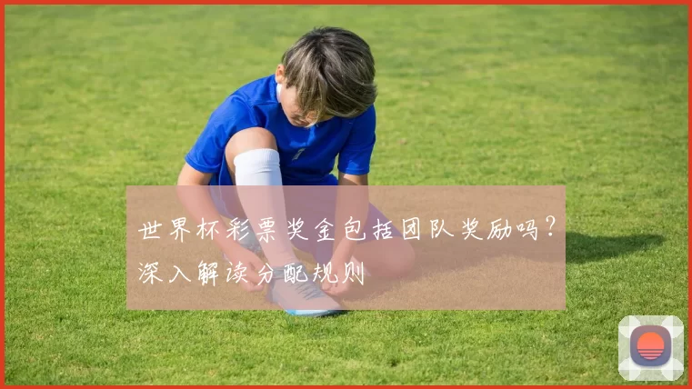 世界杯彩票奖金包括团队奖励吗?深入解读分配规则
